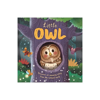 Nature Stories: Little Owl-Discover an Amazing Story from the Natural World - by Igloobooks & Rose Harkness (Board Book)