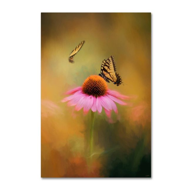 12 x 19 Butterflies At Play by Jai Johnson - Trademark Fine Art: Gallery-Wrapped Canvas, Giclee Print