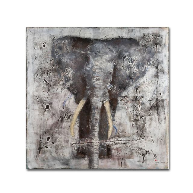 Trademark Fine Art 24 x 24 Joarez Wild Life Canvas Art: Elephant, Mid-Century Modern Decor