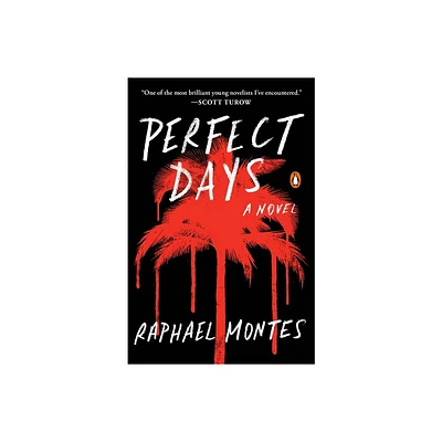 Perfect Days - by Raphael Montes (Paperback)