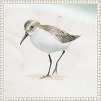 Amanti Art 16x16 Sandpiper on The Beach II by Lucca Sheppard Framed Canvas Wall Art Print: Modern Coastal Wall Canvases, Earth Tones Decor