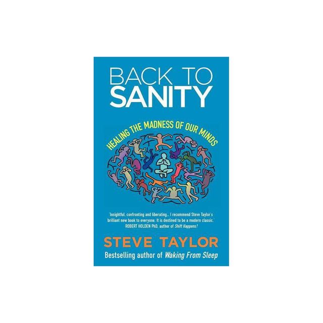 Back to Sanity - by Steve Taylor (Paperback)