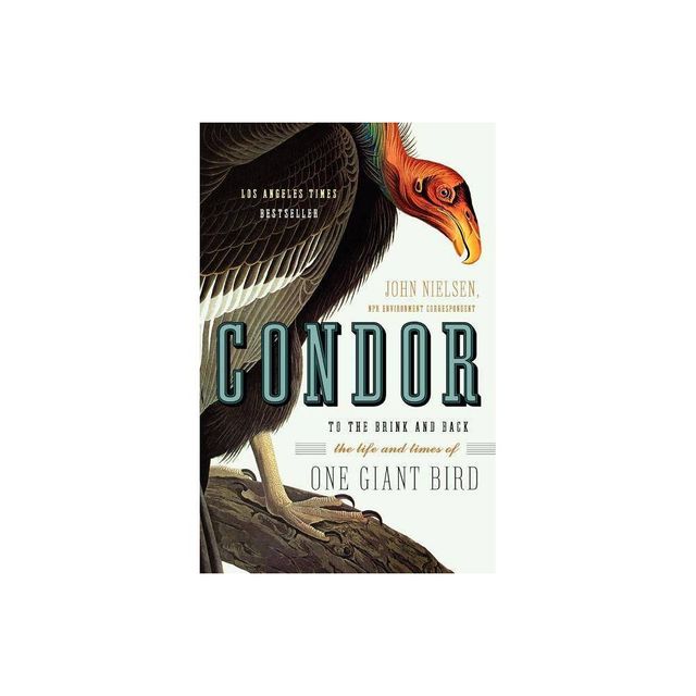 Condor - by John Nielsen (Paperback)