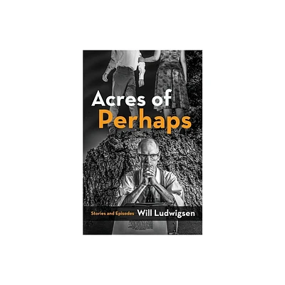 Acres of Perhaps - by Will Ludwigsen (Paperback)