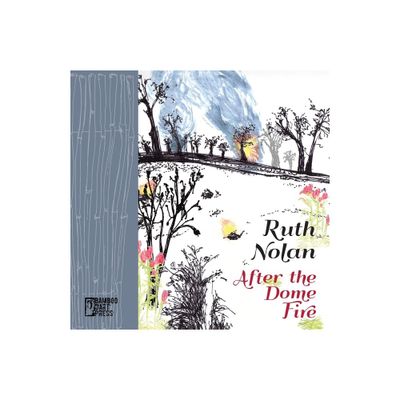 After the Dome Fire - by Ruth Nolan (Paperback)