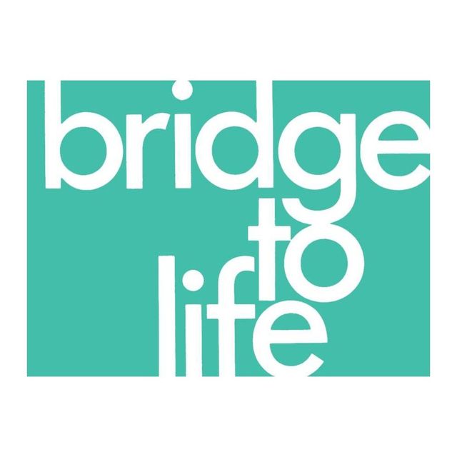 Bridge to Life (Green) 25-Pack - (Paperback)