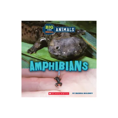 Amphibians (Wild World: Big and Small Animals) - by Brenna Maloney (Hardcover)