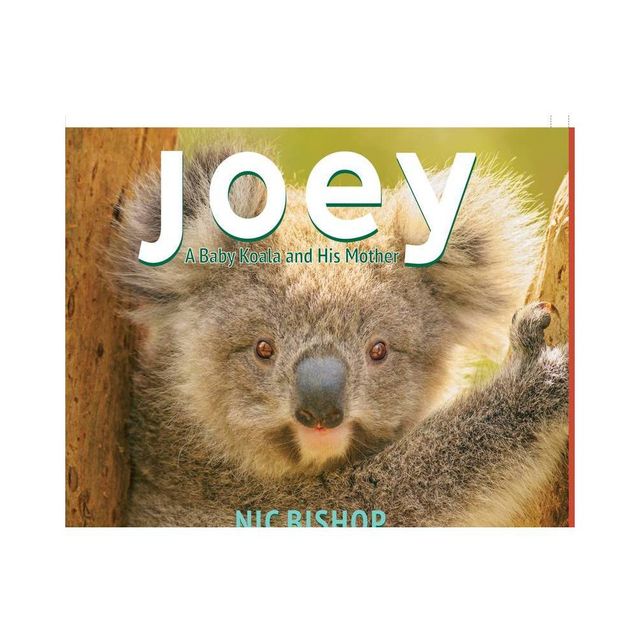 Joey: A Baby Koala and His Mother - by Nic Bishop (Hardcover)