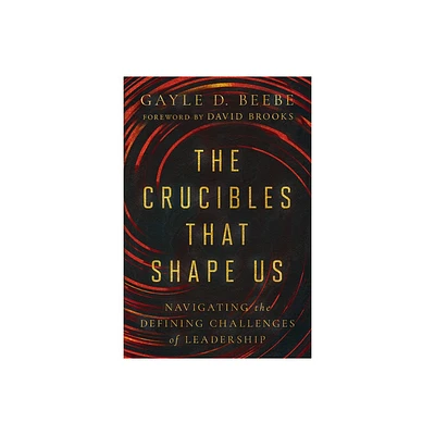The Crucibles That Shape Us - by Gayle D Beebe (Hardcover)