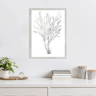 Amanti Art Gray Algae I by Jennifer Goldberger Wood Framed Wall Art Print