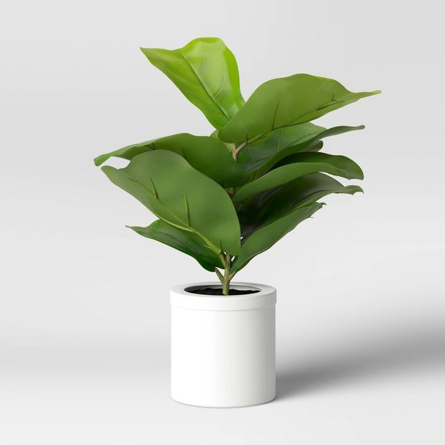 15 x 10 Artificial Fiddle Leaf Plant in Pot - Threshold: Lush Greenery, Ceramic Base