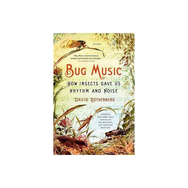 Bug Music - by David Rothenberg (Paperback)