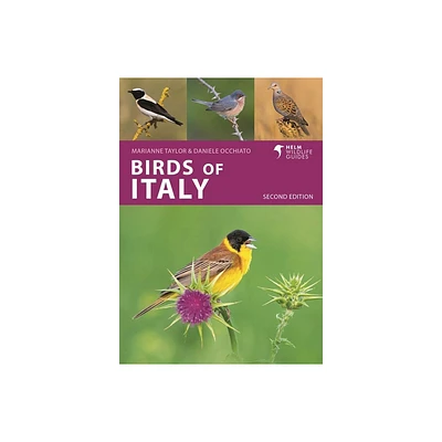 Birds of Italy - (Helm Wildlife Guides) 2nd Edition by Marianne Taylor & Daniele Occhiato (Paperback)