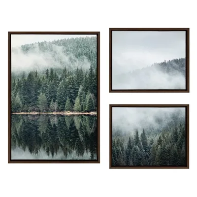 Set of 3) Sylvie Evergreen Reflections in Fog Canvas Art Set by F2 Images