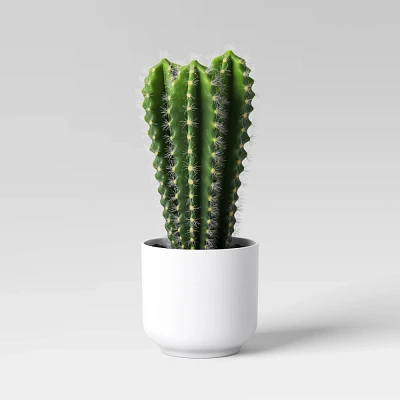 Artificial Cactus in White Pot - Room Essentials