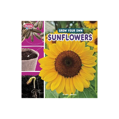 Grow Your Own Sunflowers