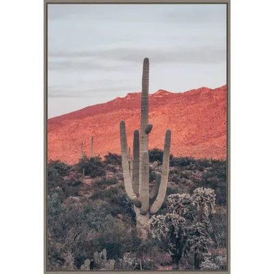 Amanti Art 23 x 33 Sunsets and Saguaros Desert by Nathan Larson Framed Canvas Wall Art Print : Modern Botanical Decor