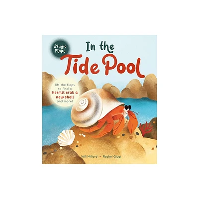 In the Tide Pool - (Magic Flaps) by Will Millard (Board Book)