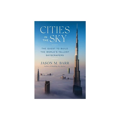 Cities in the Sky - by Jason M Barr (Hardcover)