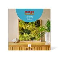 Preserved Moss Art Wood Craft Kit - Mondo Llama