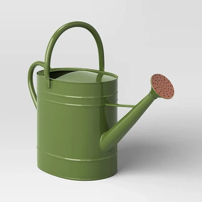 2gal Galvanized Sheet in Powder Coated Finish Steel Watering Can Green - Threshold