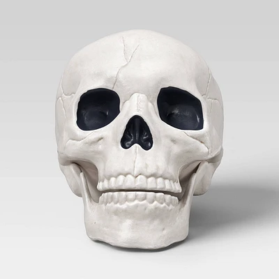 Skull Halloween Decorative Prop - Hyde & EEK! Boutique