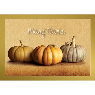 50ct Fall Pumpkins Thank You Note Cards