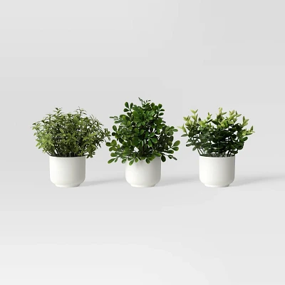 Herb Artificial Plant in White Pot - Room Essentials