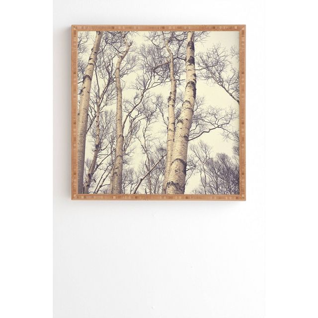 Olivia St Claire Winter Birch Trees Bamboo Framed Wall Art