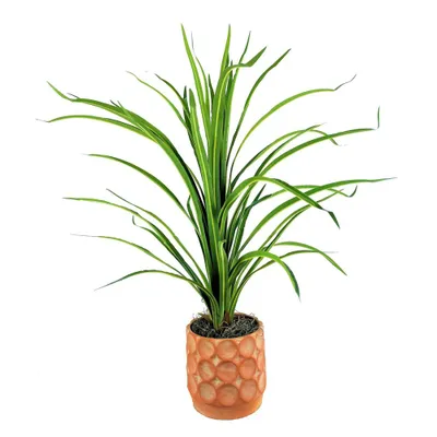 38 Artificial Thin Dracaena in Terracotta Planter - LCG Florals: Faux Floor Plant for Indoor Decor