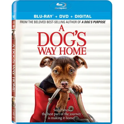 A Dogs Way Home (Blu-ray + DVD + Digital)