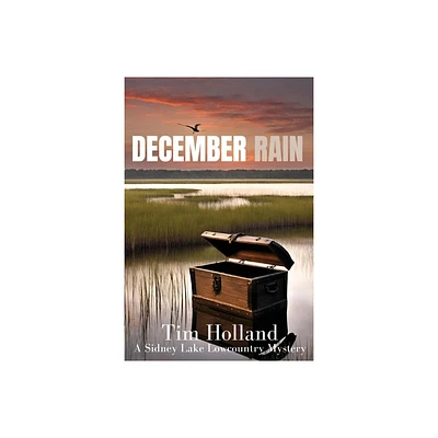 December Rain - by Tim Holland (Paperback)