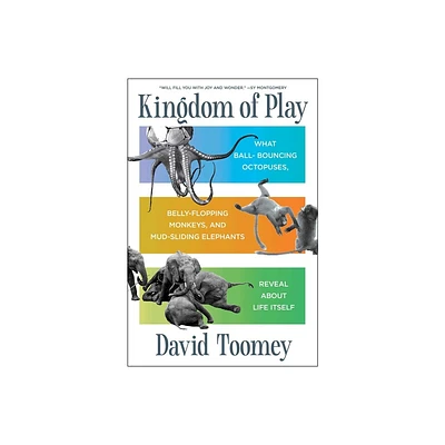 Kingdom of Play - by David Toomey (Hardcover)