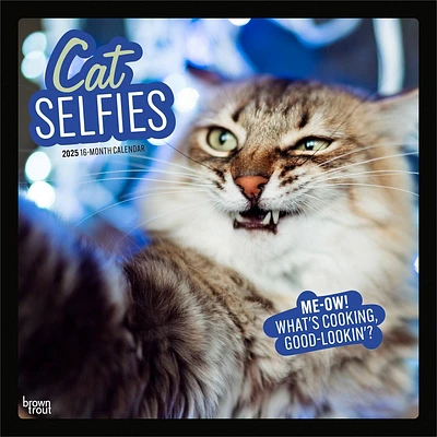 BrownTrout 2025 Wall Calendar 12x12 Cat Selfies