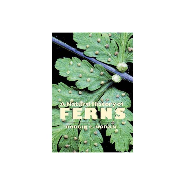 A Natural History of Ferns - by Robbin C Moran (Paperback)