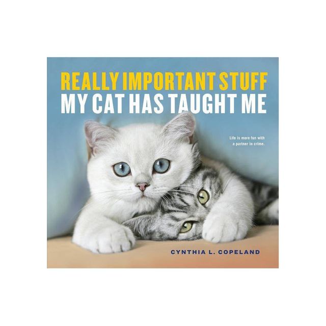 Really Important Stuff My Cat Has Taught Me (Paperback) (Cynthia L. Copeland)