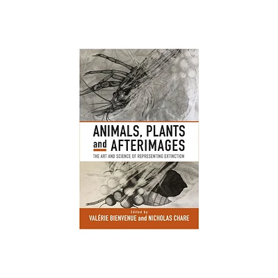 Animals, Plants and Afterimages - by Valrie Bienvenue & Nicholas Chare (Paperback)