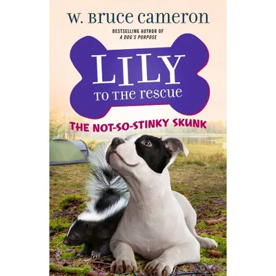 Lily to the Rescue: The Not-So-Stinky Skunk - (Lily to the Rescue!) by W Bruce Cameron (Paperback)