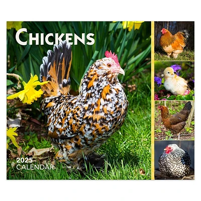 BrownTrout 2025 Desk Calendar 5.13x6.06 Chickens