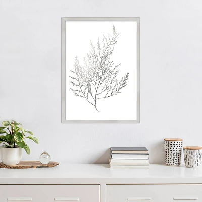 Amanti Art Gray Algae II by Jennifer Goldberger Wood Framed Wall Art Print