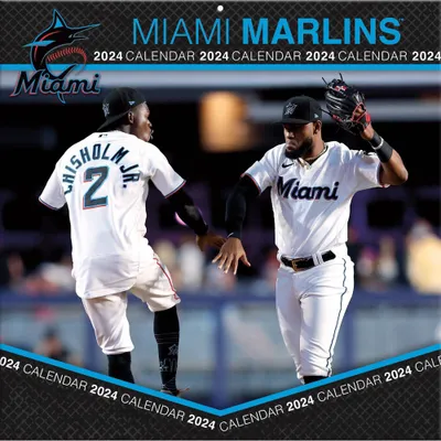 Mlb Miami Marlins Men's Short Sleeve V-neck Jersey - M : Target
