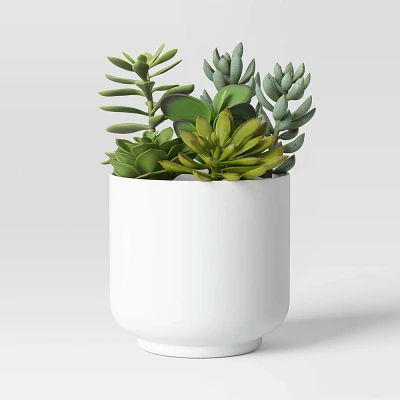 Succulent Arrangement in White Pot - Room Essentials