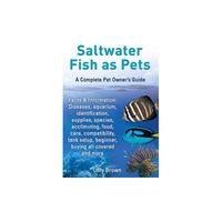 Saltwater Fish as Pets. Facts & Information - by Lolly Brown (Paperback)