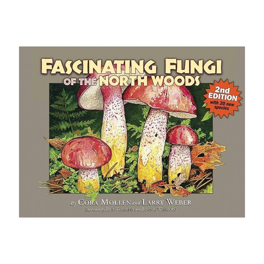 TARGET Fascinating Fungi of the North Woods, 2nd Edition - by Cora Mollen  (Paperback)