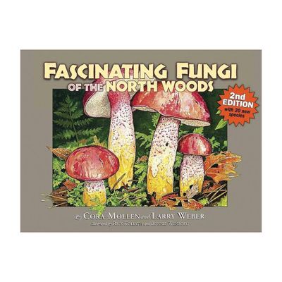 Fascinating Fungi of the North Woods, 2nd Edition - by Cora Mollen (Paperback)