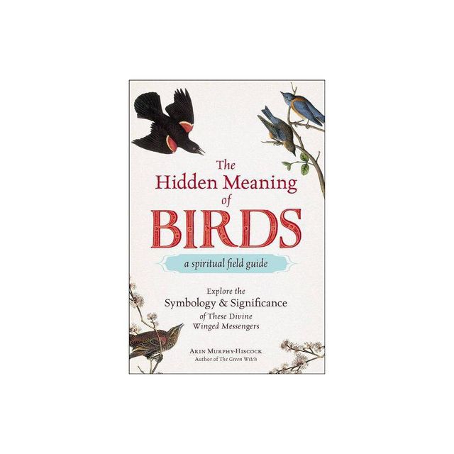 The Hidden Meaning of Birds--A Spiritual Field Guide - by Arin Murphy-Hiscock (Paperback)