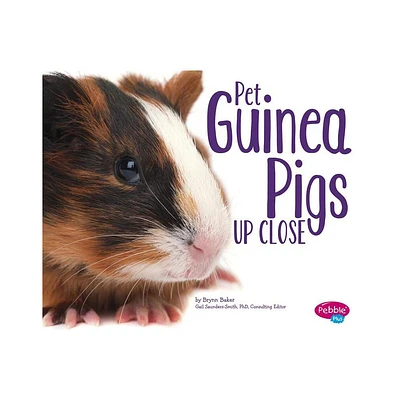 Pet Guinea Pigs Up Close - (Pets Up Close) by Brynn Baker (Hardcover)