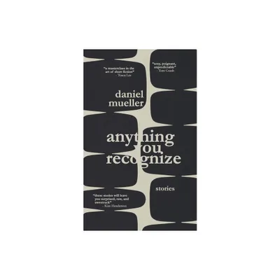 Anything You Recognize - by Daniel Mueller (Paperback)