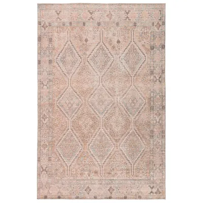 Marquesa Trellis Area Rug Light Pink/Blue