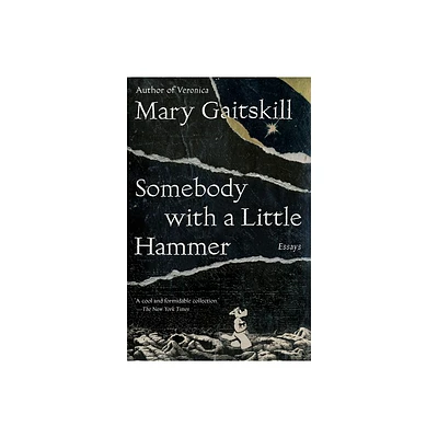 Somebody with a Little Hammer - by Mary Gaitskill (Paperback)